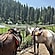 user photos