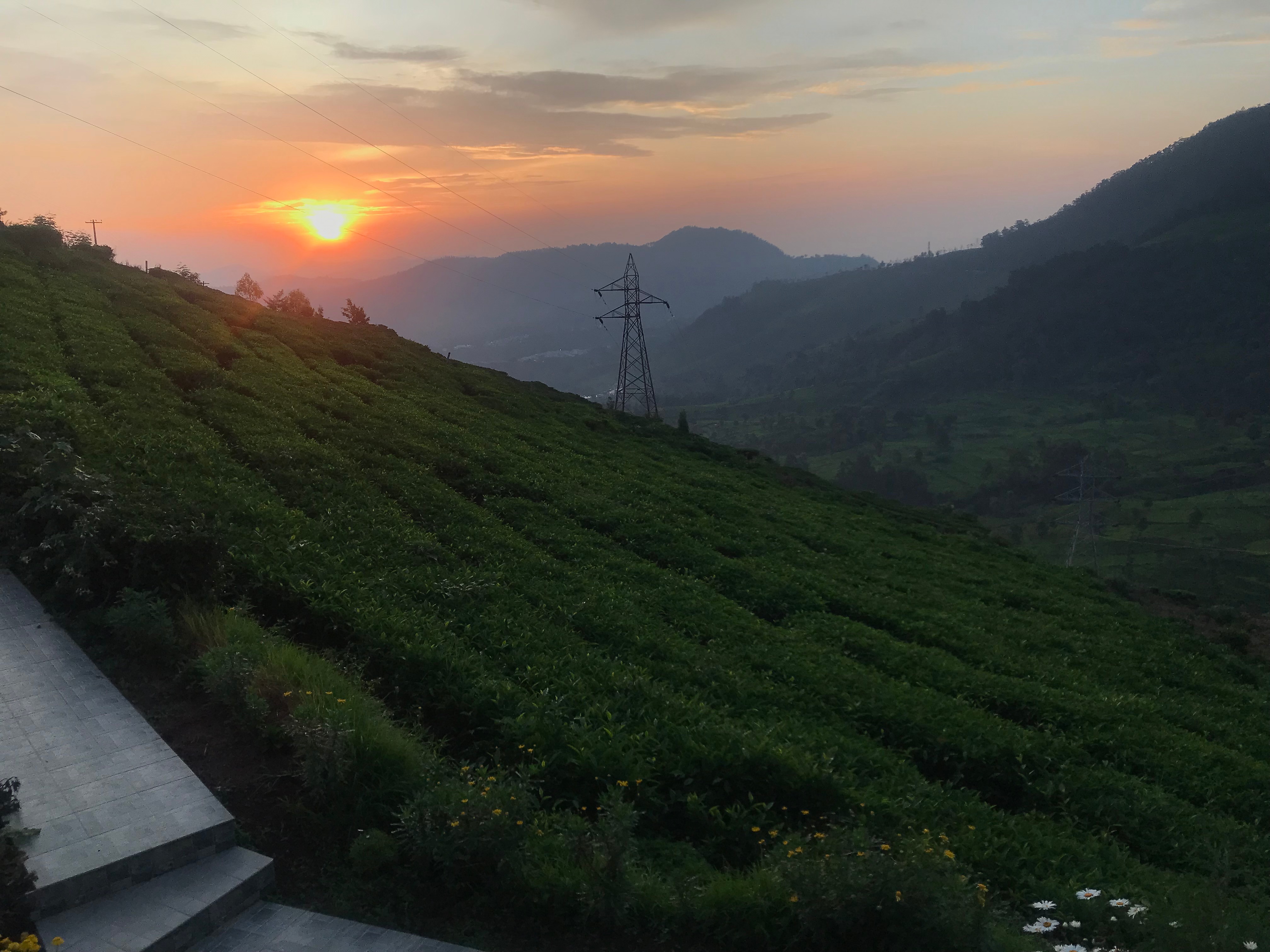 Photos of Planters Punch Resorts Resort in Ooty