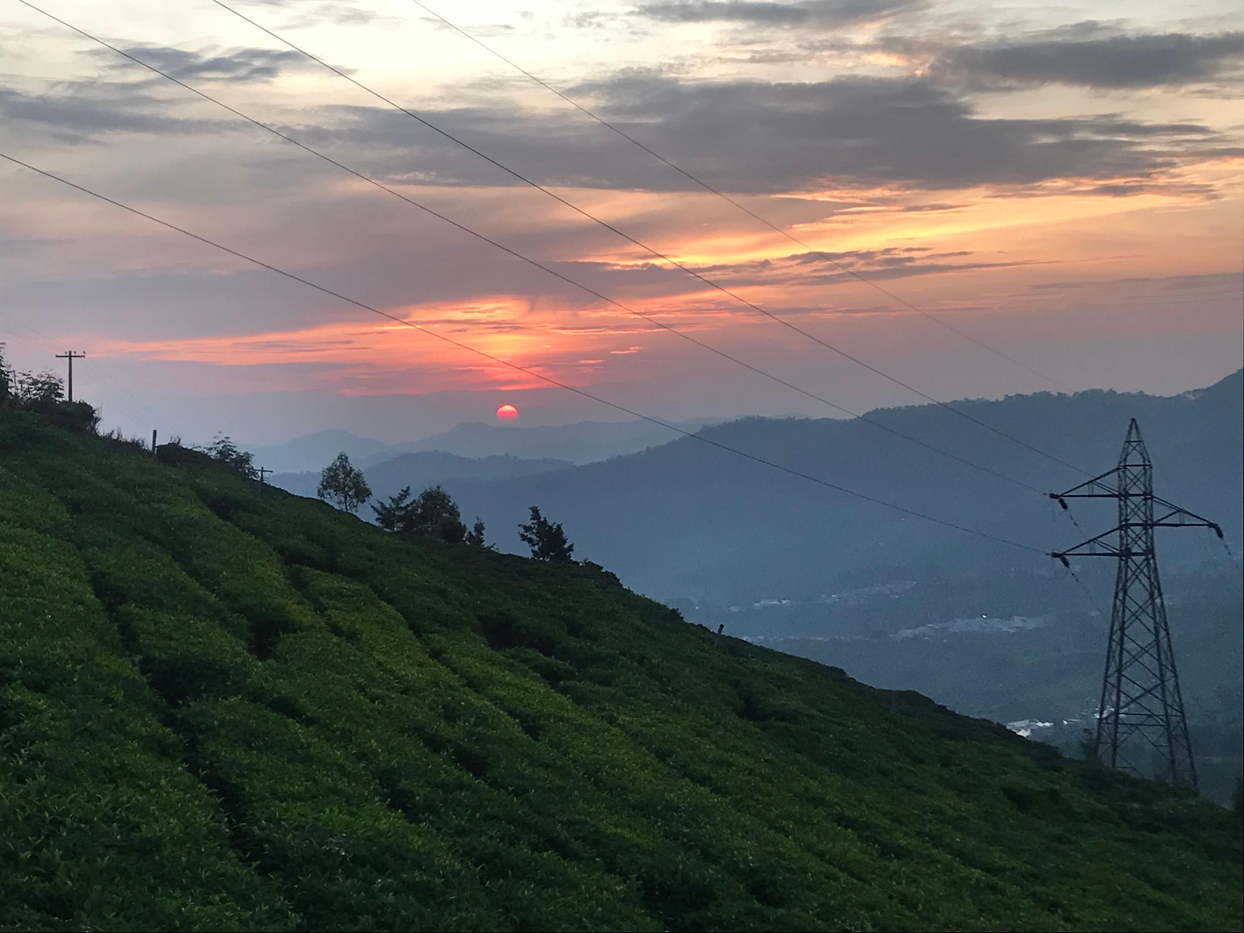 Planters Punch Resorts 𝗕𝗢𝗢𝗞 Ooty Resort 𝘄𝗶𝘁𝗵 ₹𝟬 𝗣𝗔𝗬𝗠𝗘𝗡𝗧