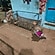 user photos