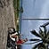 user photos