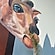 user photos