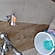 user photos