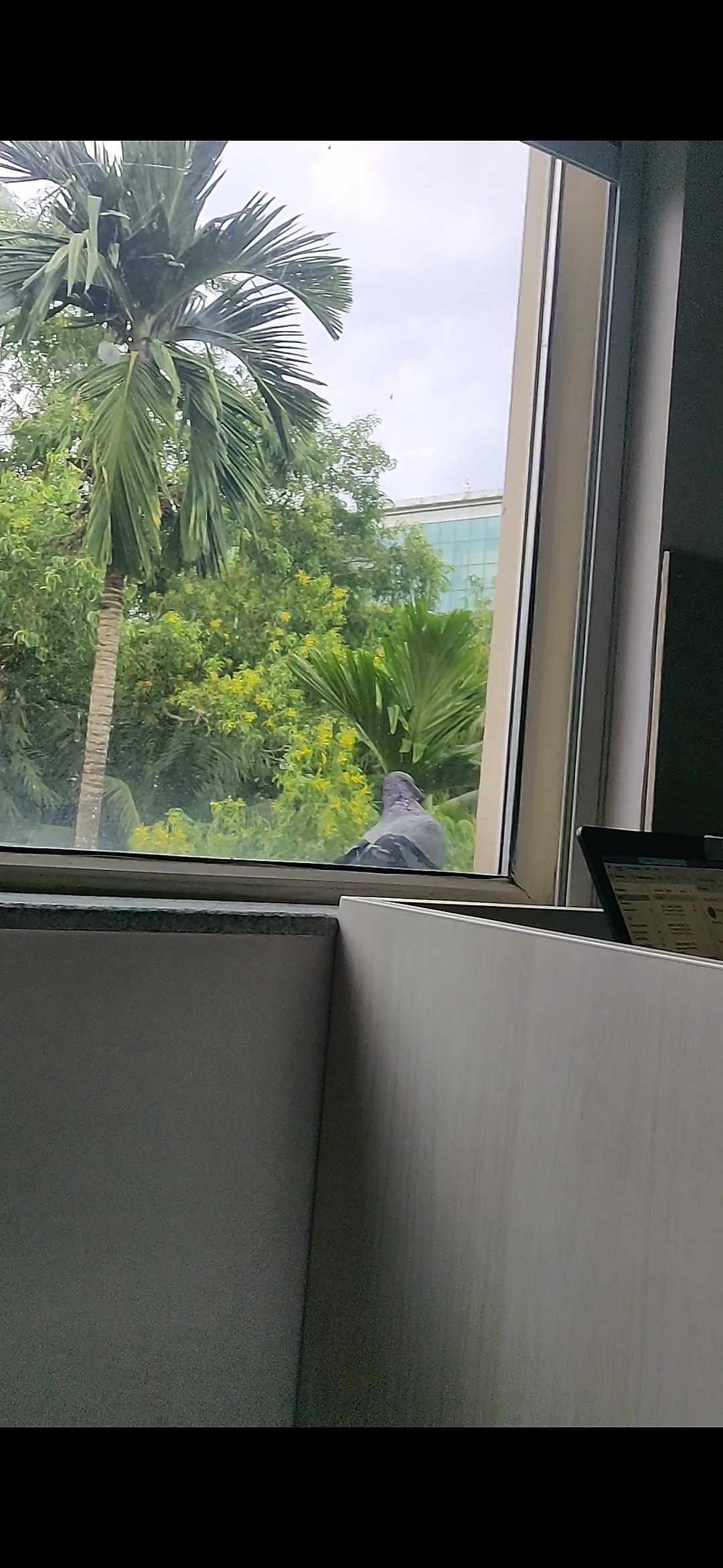 Ginger Trivandrum Thiruvananthapuram Hotel BOOK ₹1