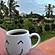user photos