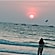 user photos