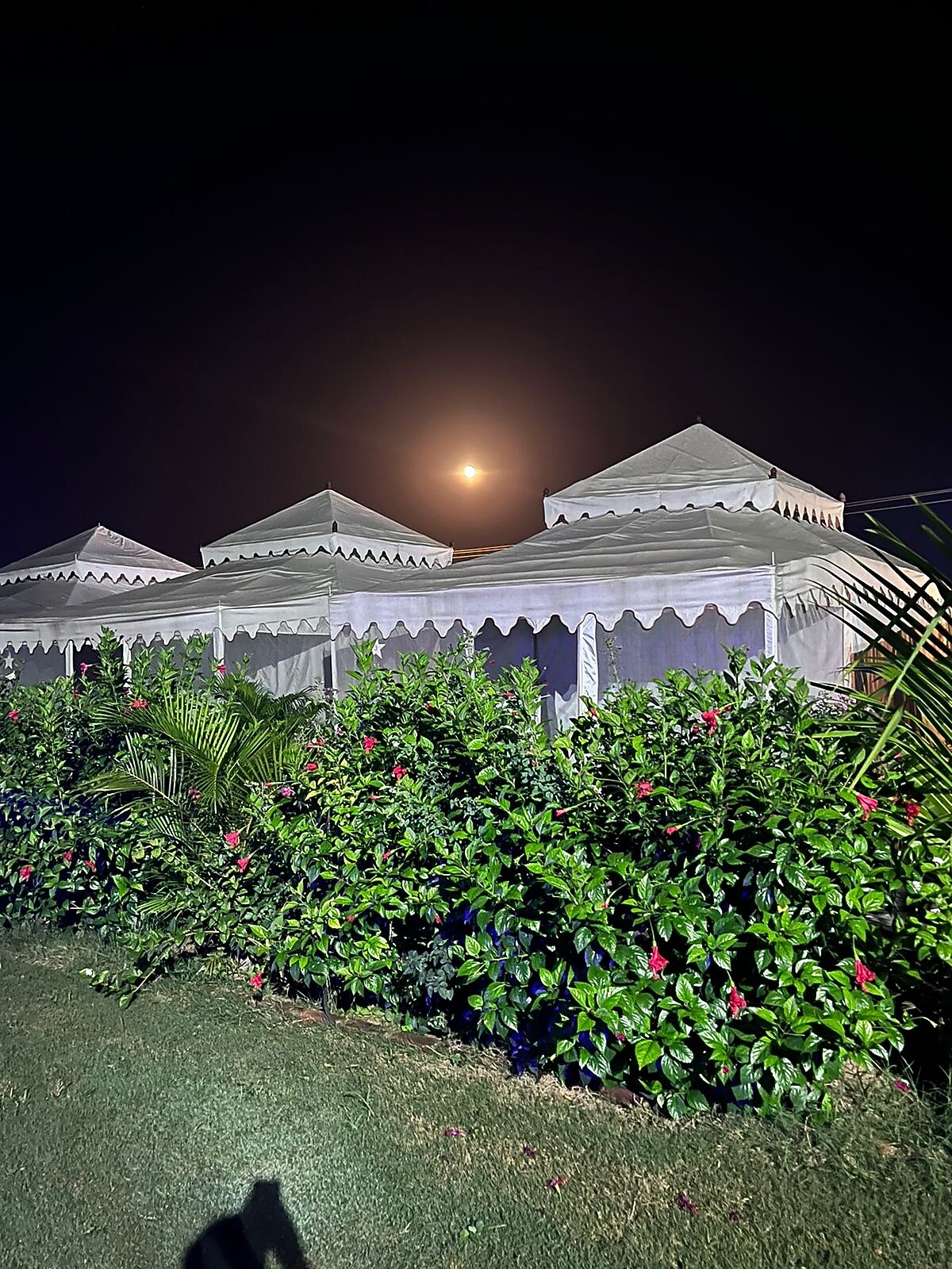 Unity Holiday Resort 𝗕𝗢𝗢𝗞 Tilakwada Resort 𝘄𝗶𝘁𝗵 𝗙𝗥𝗘𝗘 𝗖𝗮𝗻𝗰𝗲𝗹𝗹𝗮𝘁𝗶𝗼𝗻