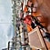 user photos