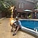 user photos