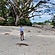 user photos