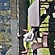 user photos