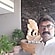 user photos