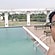 user photos