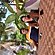 user photos