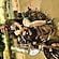 user photos
