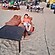 user photos