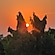 user photos