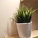 user photos