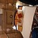 user photos