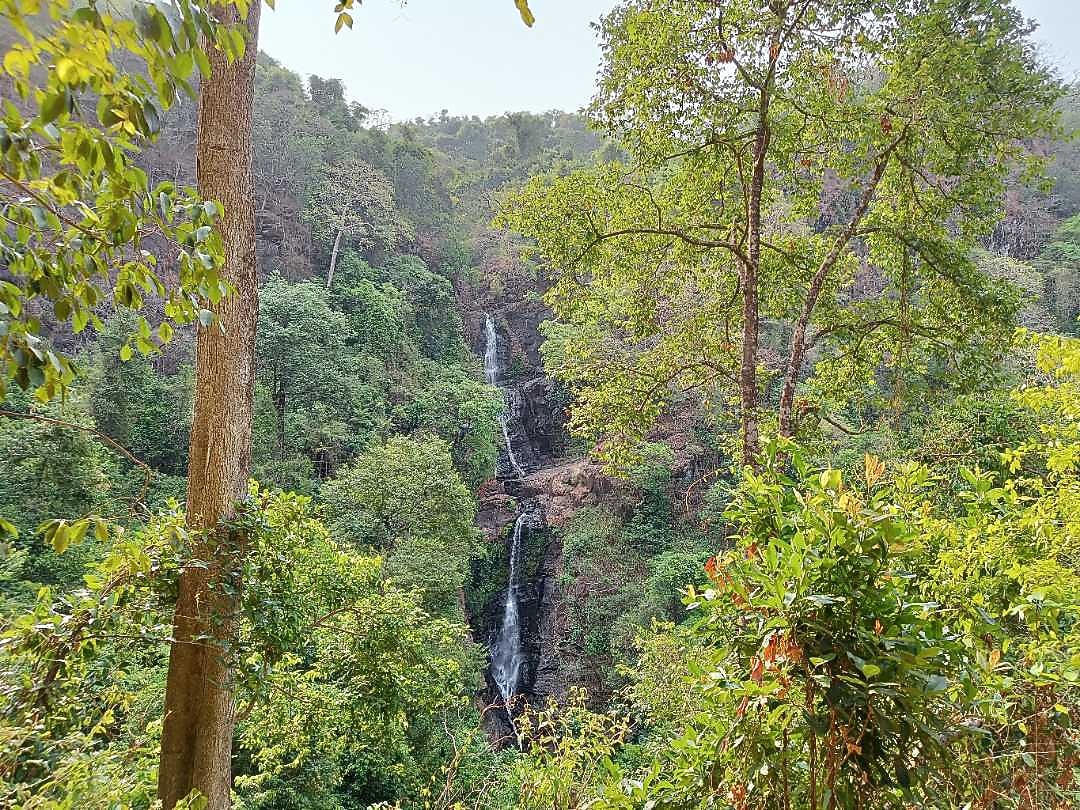 The Postcard Hideaway, Netravali, Goa 𝗕𝗢𝗢𝗞 Goa Resort 𝘄𝗶𝘁𝗵 𝗙𝗥𝗘𝗘 𝗖𝗮𝗻𝗰𝗲𝗹𝗹𝗮𝘁𝗶𝗼𝗻