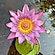 user photos