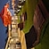 user photos