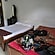 user photos