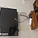 user photos