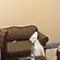 user photos