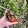 user photos