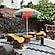 user photos