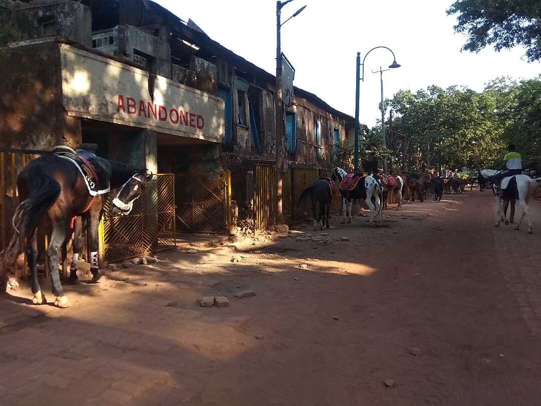 MTDC Matheran Best Rates on Matheran Hotel Deals, Reviews & Photos