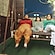 user photos