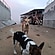 user photos