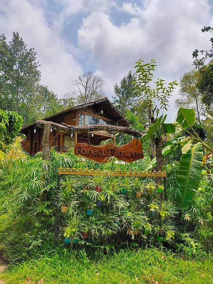 Forest Flower Homestay Rooms & Caretaker 𝗕𝗢𝗢𝗞 Homestay 𝘄𝗶𝘁𝗵 ₹𝟬