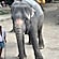 user photos