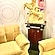 user photos