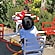 user photos