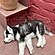 user photos