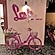 user photos