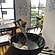 user photos