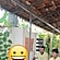user photos