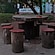 user photos