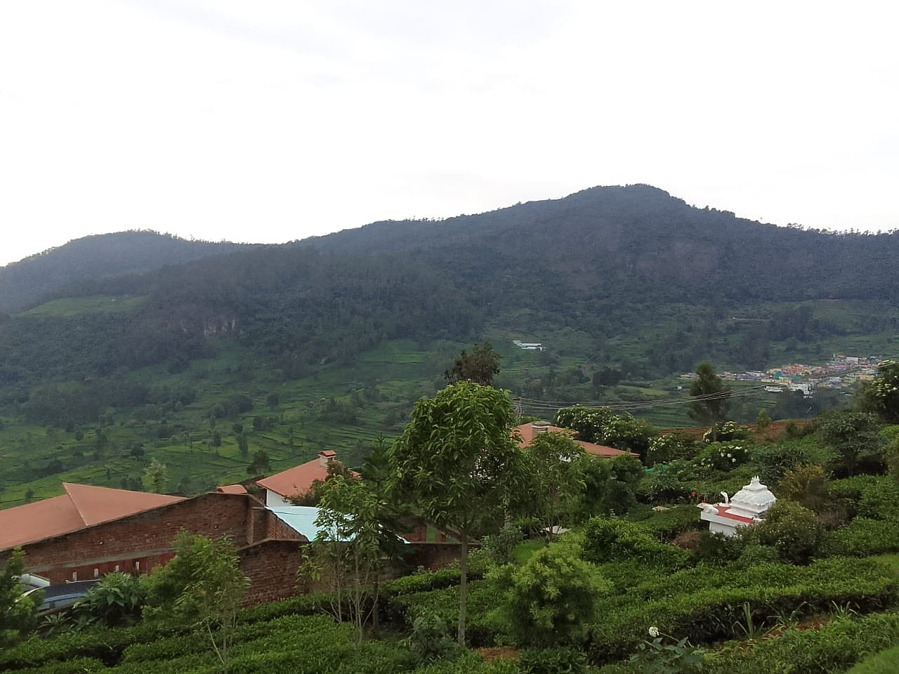 Planters Punch Resorts 𝗕𝗢𝗢𝗞 Ooty Resort 𝘄𝗶𝘁𝗵 ₹𝟬 𝗣𝗔𝗬𝗠𝗘𝗡𝗧