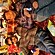 user photos