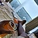user photos