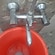 user photos