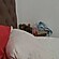 user photos