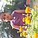 user photos
