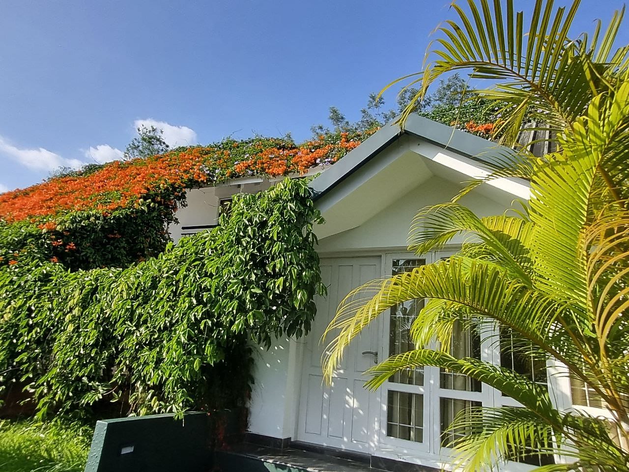 Munnar Tea Hills Resort 𝗕𝗢𝗢𝗞 Munnar Resort 𝘄𝗶𝘁𝗵 ₹𝟬 𝗣𝗔𝗬𝗠𝗘𝗡𝗧